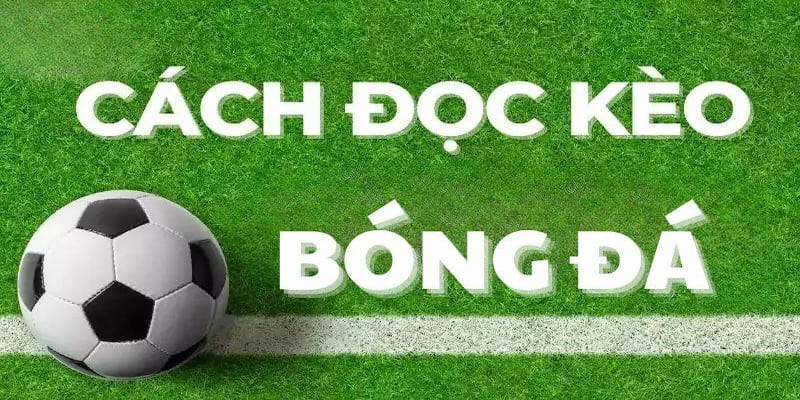 Bí kíp xem kèo bóng đá chuẩn từ chuyên gia