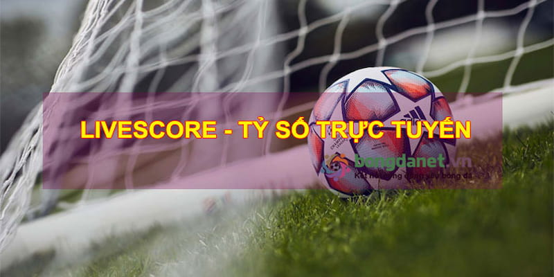 Livescore là gì và cách nó vận hành?