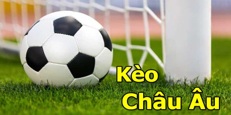 Vai trò của tỷ lệ kèo châu âu trong cá cược bóng đá
