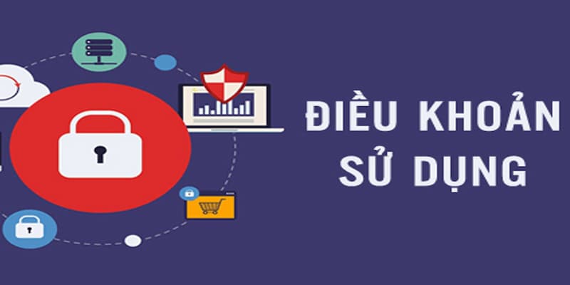 Điều khoản điều kiện Một số lưu ý quan trọng